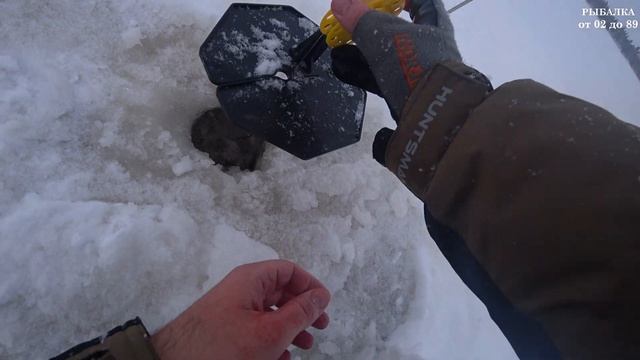 НЕСКРОМНЫЙ ОКУНЬ И ДЕРЗКИЕ ЩУКИ НЕ ДАВАЛИ ЗАМЕРЗНУТЬ В ПЕРВЫЙ МОРОЗ. ЗИМНЯЯ РЫБАЛКА 2021. смотреть онлайн