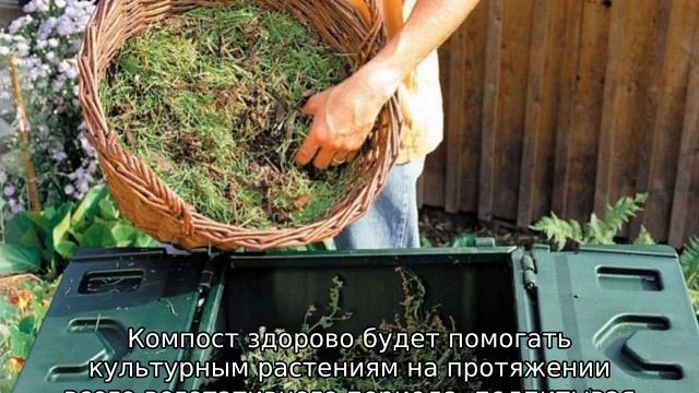 Что делать с травой на даче после прополки