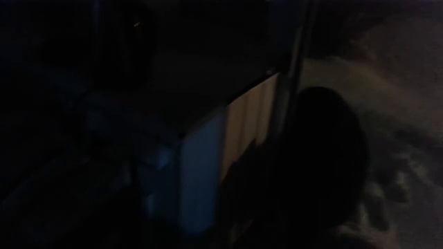 С Шреком встречаем- " Год Собаки.." )) 2018г. смотреть онлайн