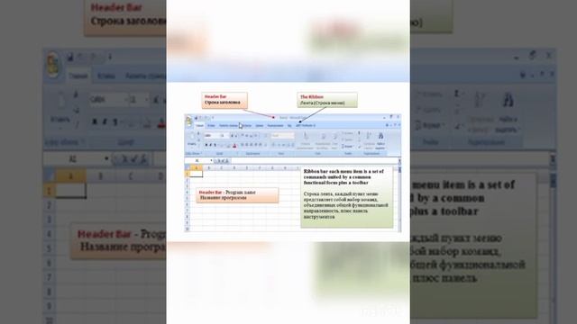 Basic concepts and elements of the Microsoft office Excelwindow.