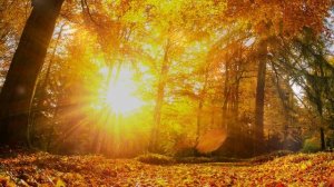 Fall Classical Music - Mozart Classical Autumn Music for Study, Relax