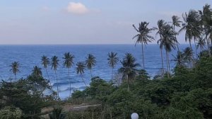 море волны пальмы экранная заставка 16_9 псалом 1 остров Ве Индийский океан