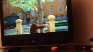 Спокойной ночи малыши 15.05.2019