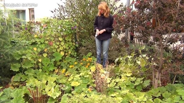 Простой способ борьбы с сорняками. Урожай.