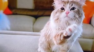 Мегабюджетный телевизор Topdevice TV 32 LED SPECIAL (TDTV32BN01H_BK) Обзор. Плюсы и минусы