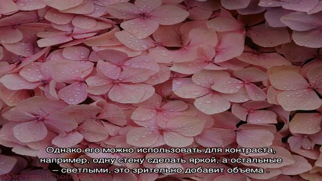 Детская комната в розовом цвете: девичий рай (31 фото) смотреть онлайн