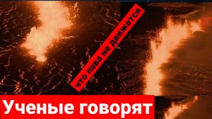 Ученые говорят