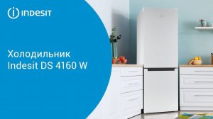 Холодильник Indesit DS 4160 W - обзор модели