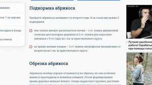 Лучшие сорта абрикоса_ описание и фото для посадки в Подмосковье, средней полосе России