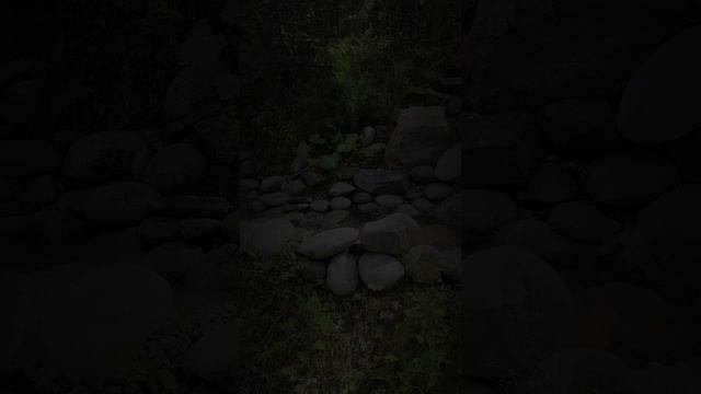 Красивый пруд, которым мы гордимся 👷♂️😎😁