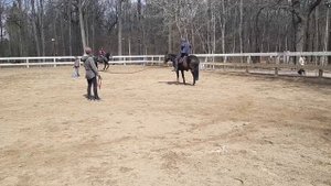 Заблуждения начинающих всадников)))