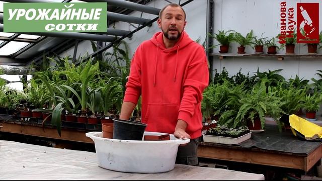 Дыши, дыши, дыши!!! Как обеспечить дыхание корней рассады. смотреть онлайн