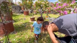 Путешествие по острову Бохоль ч.1 | Жизнь на острове | Бохол | Филиппины 2023