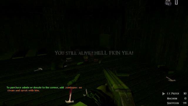 Zombie panic! Source:Gameplay смотреть онлайн