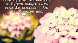 В этот радостный день мы приносим благодарность и славу Творцу