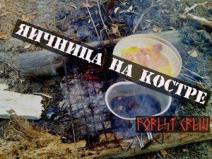 ЛЕС | ОСЕНЬ | ЯЙЦА | ПВД | FOREST | AUTUMN | EGGS I FOREST CREW