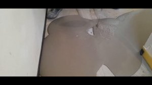 Выравнивающая смесь для пола, по струнным маякам