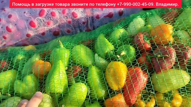 24-10-2023 г Цены сегодня рынок Великие Копани Херсонская область. смотреть онлайн