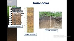 5 КЛАСС / ПОЧВА