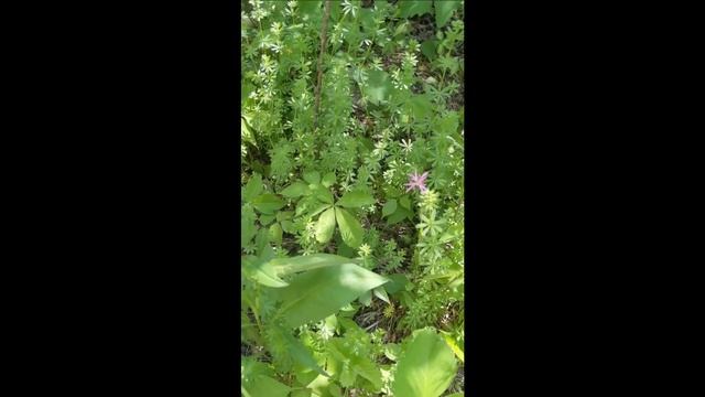 Проект "Квадратный метр", №1 смотреть онлайн