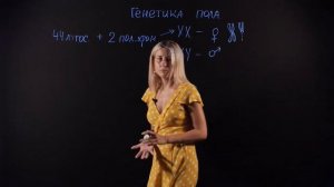 Биология 11 класс: Генетика пола. X и Y хромосомы. Видеоурок