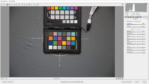 Adobe Camera RAW. Лайфхак по балансу белого. (Евгений Карташов, Фото-Монстр)