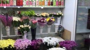 Остекление цветочного магазина. Холодильник из пвх в цветочный магазин