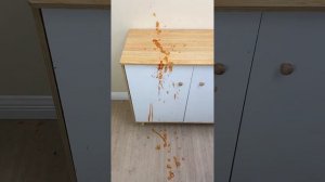 That Little Puff | Mini recipes!