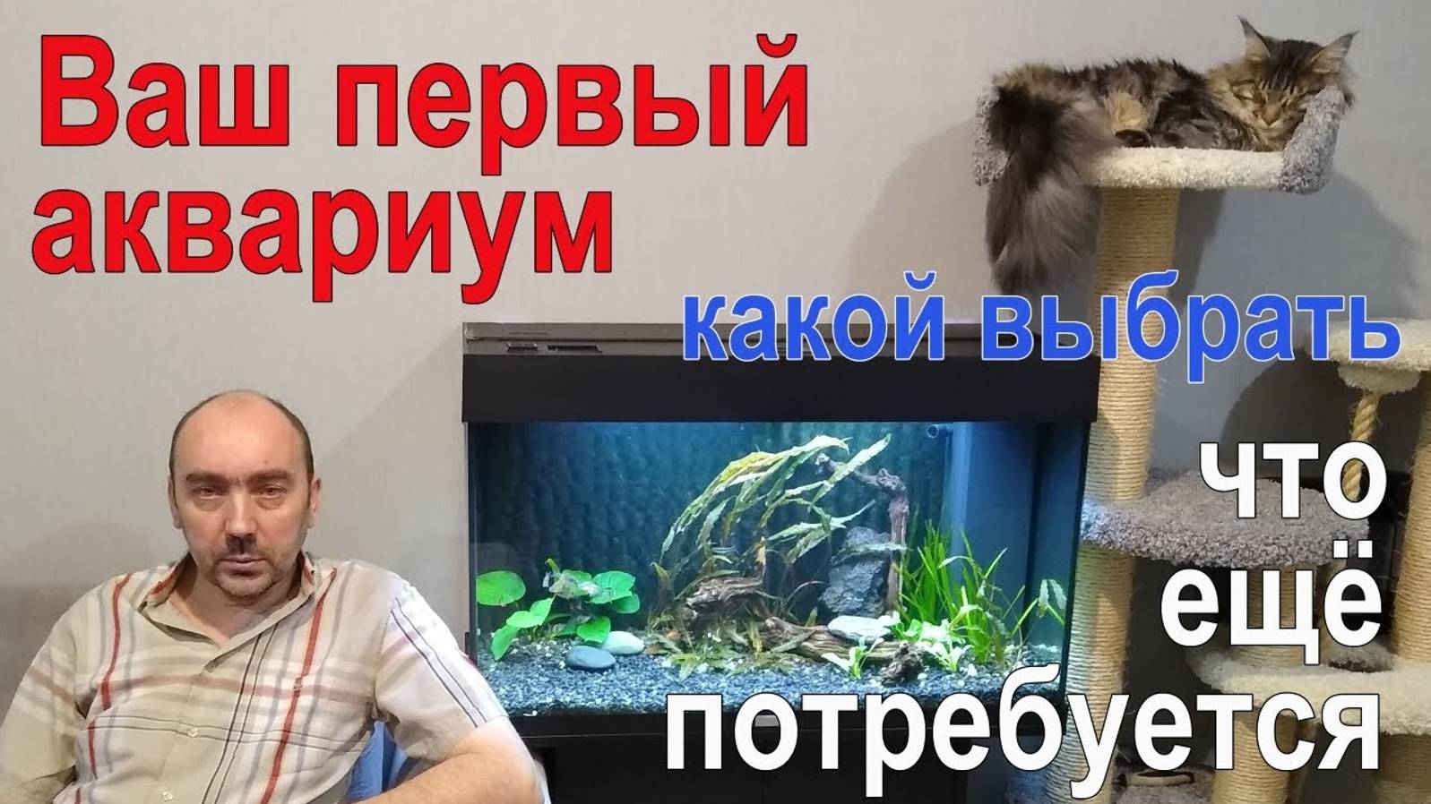 Покупаем ПЕРВЫЙ АКВАРИУМ. Какой Выбрать, и Почему. Что Ещё Необходимо Приобрести Сразу, а что нет