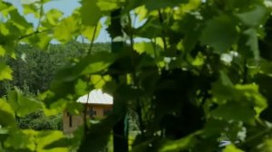 Топловский Свято Троице Параскевский женский монастырь