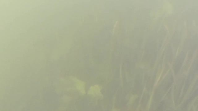 Раки на реке Проня смотреть онлайн