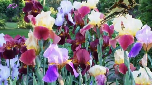 Сад своими руками. смотреть онлайн