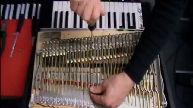 Fender Rhodes Piano Bass (DOORS) - repair/adjustment of "A" KEY by Thomas Vogt (Keyton) смотреть онлайн