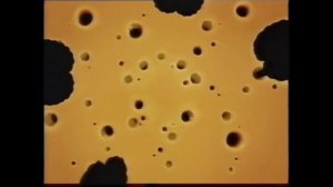 Creepypasta 49# | Rap Rat [FR]