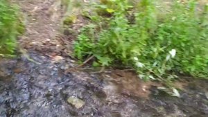 Поездка к истокам реки Хопёр. Река Хопер. Красивые места Пензенской области.
