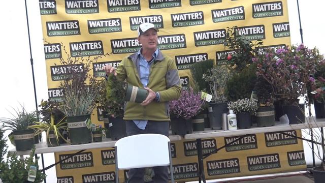 Evergreens that Bloom Early смотреть онлайн