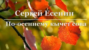 Сергей Есенин - По-осеннему кычет сова