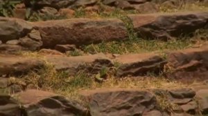 06  Ковчег завета Эфиопский след