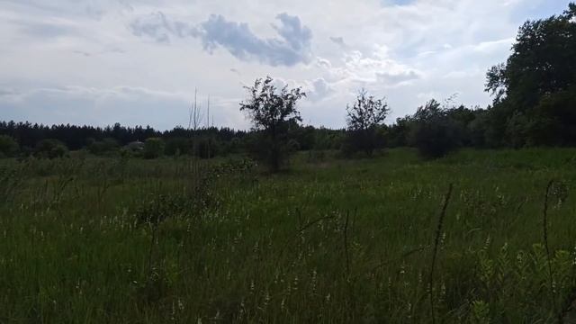 4 июля народный праздник УЛЬЯНОВ ДЕНЬ . ЛИПОВ ЦВЕТ . народные приметы и поверья