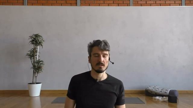 Балансовые позы-теория. Почему могут не получаться