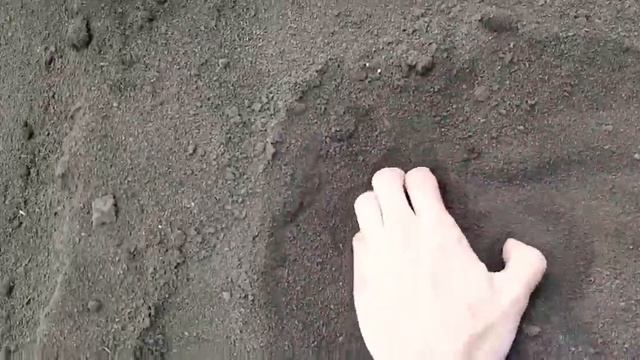 Пустыня своими руками! Делаем пустыню во всех регионах страны