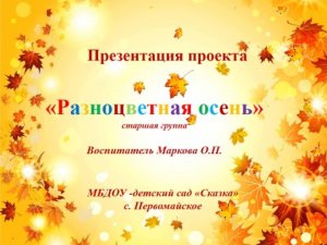 Мой успешный проект