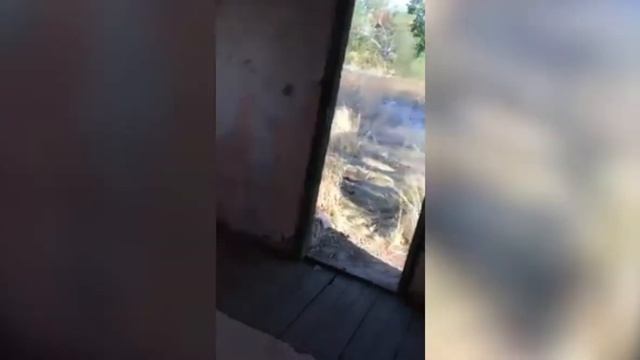 Недорогой домик с видом на море! смотреть онлайн