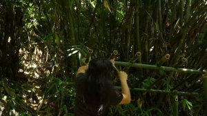 Bamboo Shelter, Fishing, Wild Food, Catch and Cook: Survival Alone | EP.264