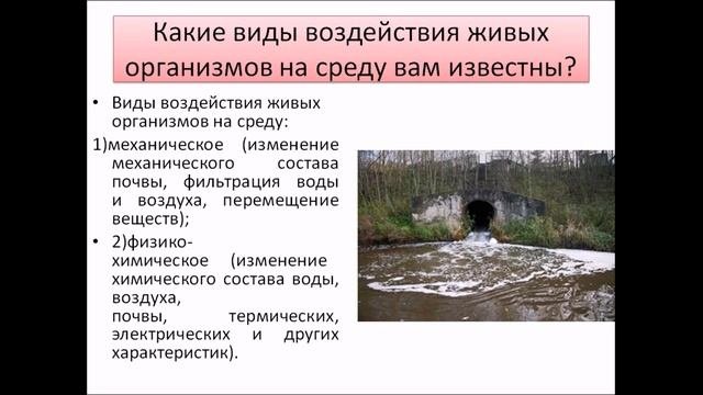 Средообразующая деятельность организмов. Урок биологии.