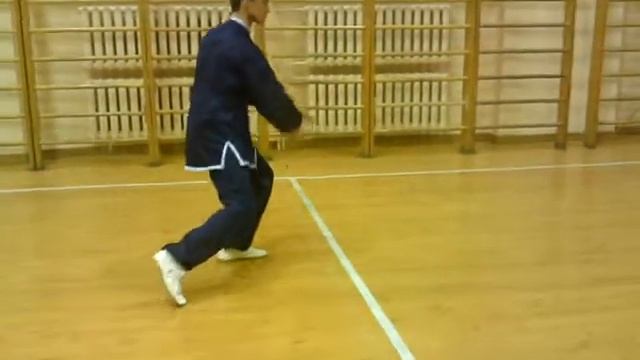 КОМПЛЕКС 13 ФОРМ ТАЙЦЗИЦЮАНЬ АНДРЕЙ ЗАЙЦЕВ