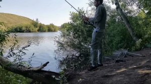 Где водится Белый Амур - Как поймать Белого Амура