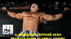 Разведение гантелей лежа