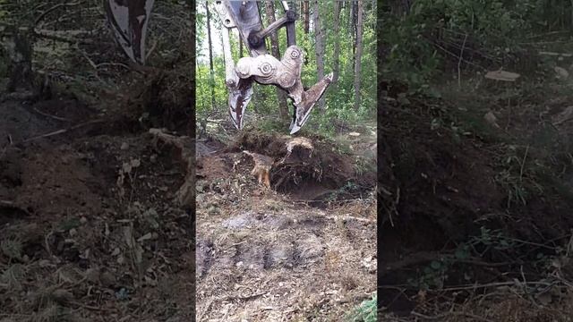 КУКАН- надежный корчеватель пней смотреть онлайн