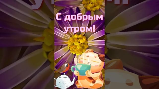 Доброе утро мужчине #shorts